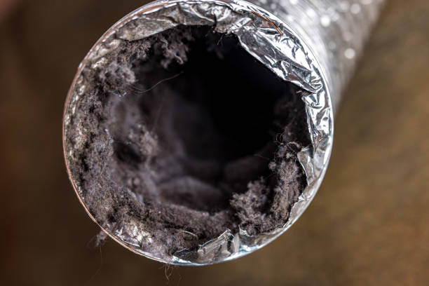 Best Dryer Vent Cleaning Services  in Sullivan Gardens, TN
