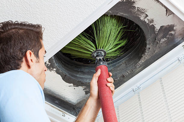 Best Best Air Duct Cleaning Company  in Sullivan Gardens, TN